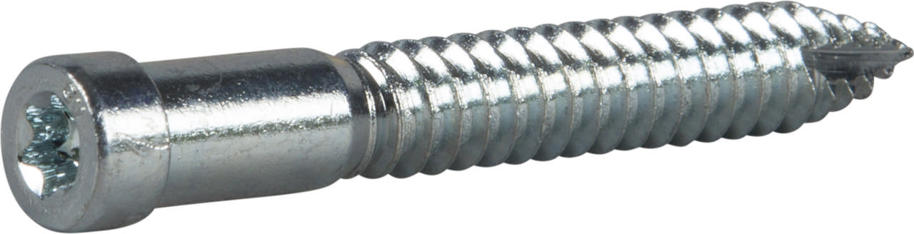 Indu-Prog wood screw, EZP
