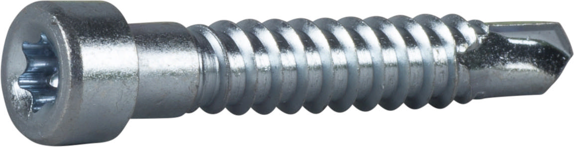 Indu-Prog self drill screw, EZP