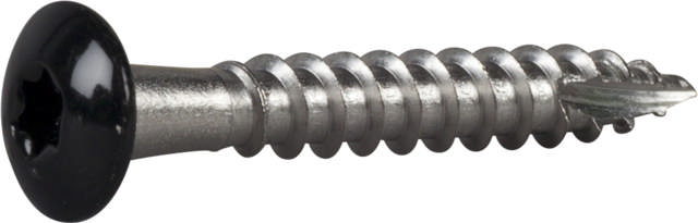 Drain hook screw, stainless/painted