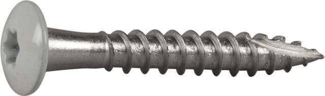Drain hook screw, stainless/painted