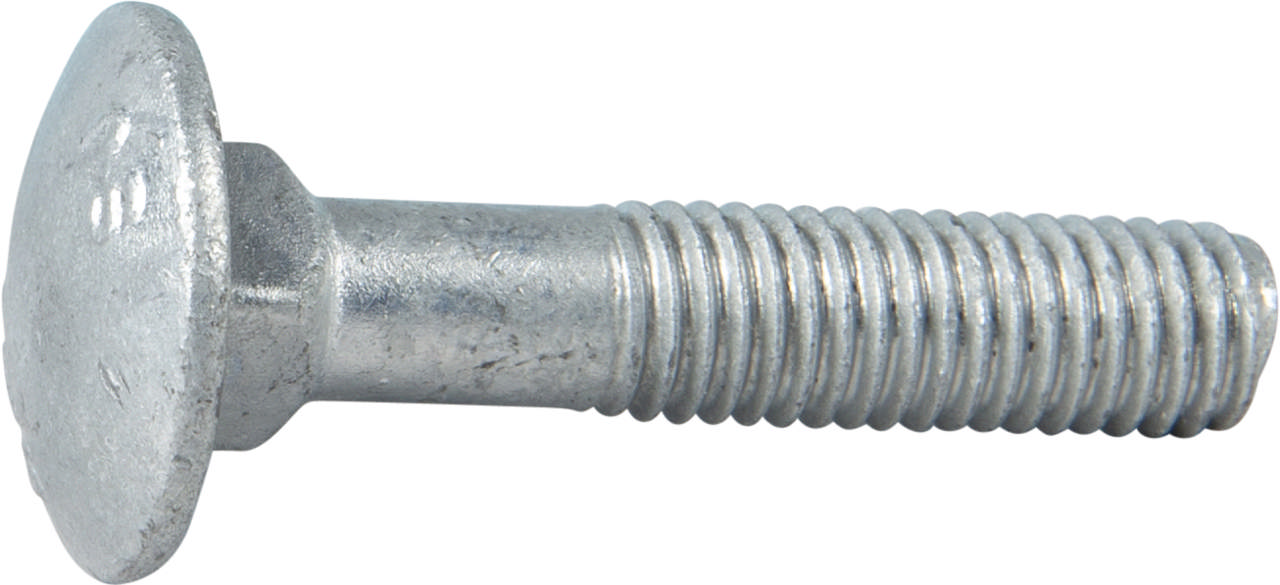 Carriage bolt, hot dip galvanized
