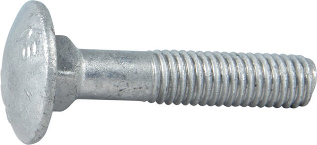 Carriage bolt, hot dip galvanized