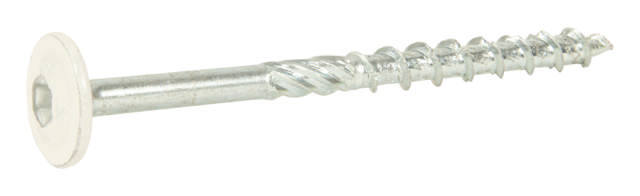 Construction screw-W (WAF) with large white-finished head, bright zinc plated